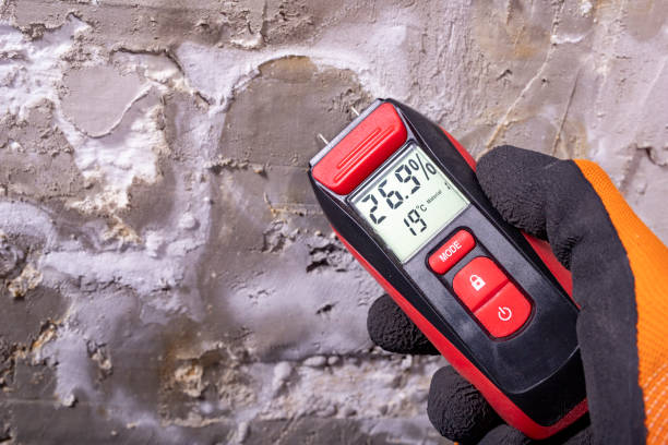 Best Residential Mold Remediation in West University Place, TX