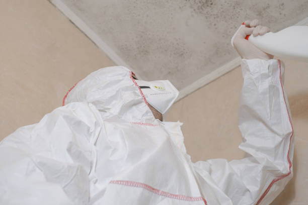 Professional Mold Remediation in West University Place, TX